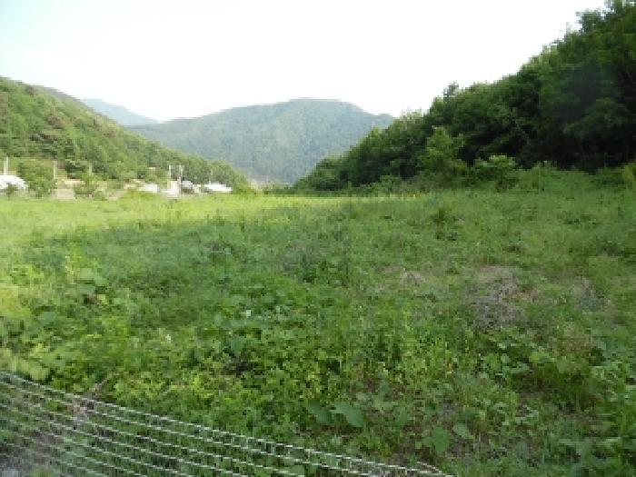 전북특별자치도 진안군 부귀면 거석리 356 전 경매 사진 24