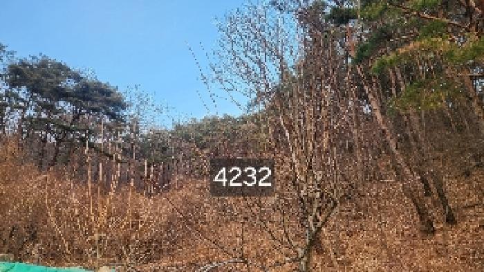 부산광역시 기장군 장안읍 덕선리 478 임야 경매 사진 3