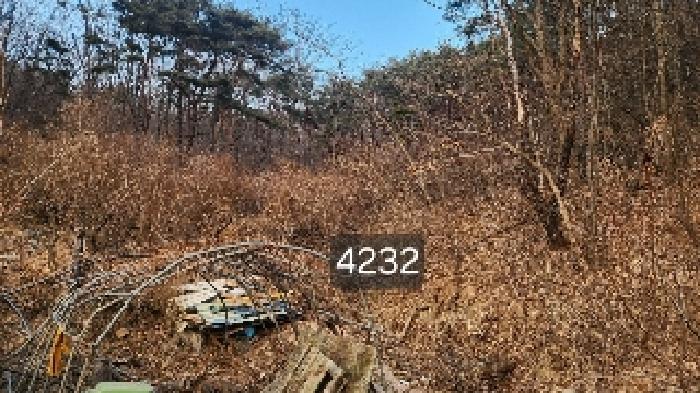 부산광역시 기장군 장안읍 덕선리 478 임야 경매 사진 4
