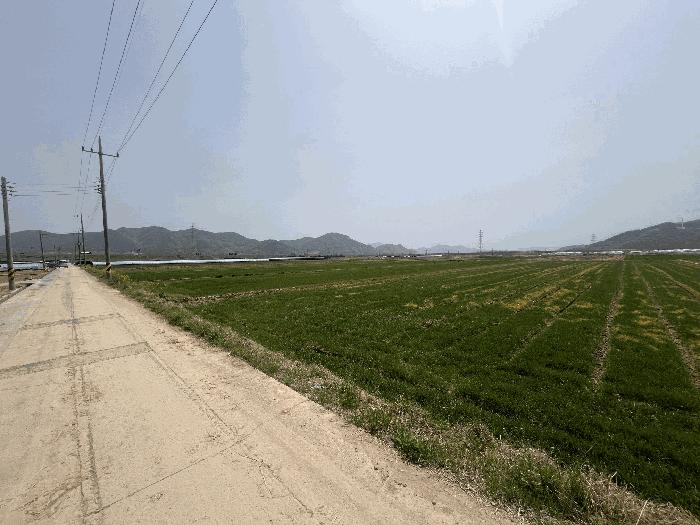 경상남도 밀양시 상남면 연금리 2216 답 경매 사진 1