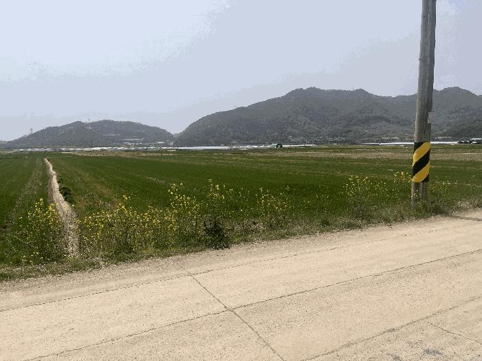 경상남도 밀양시 상남면 연금리 2216 답 경매 사진 4