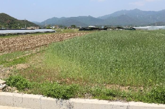경상남도 밀양시 부북면 청운리 114-1 답 경매 사진 5
