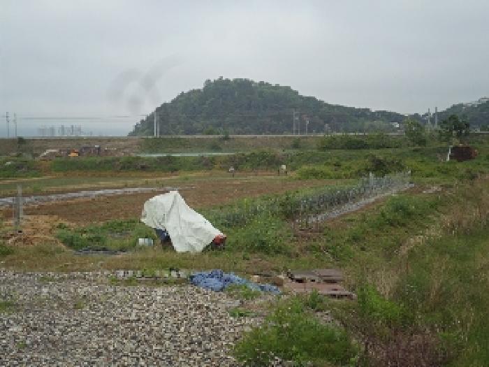 경상남도 밀양시 용평동 632 답 경매 사진 6