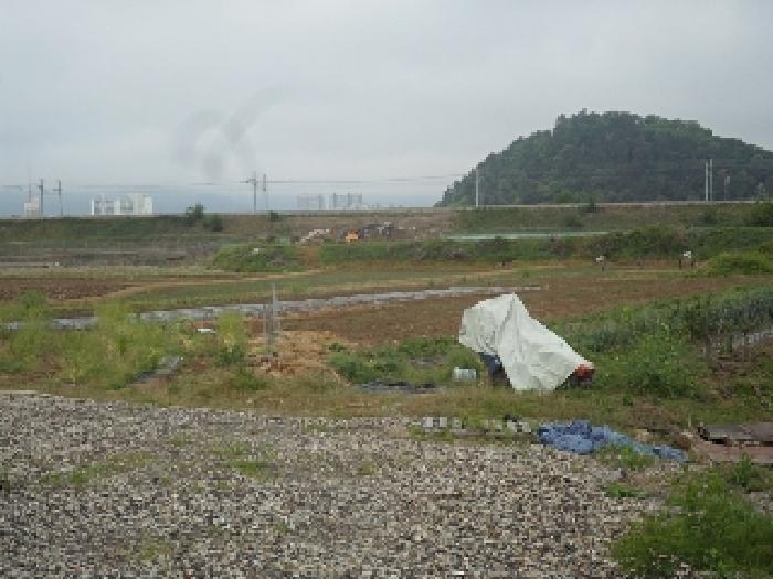 경상남도 밀양시 용평동 632 답 경매 사진 7
