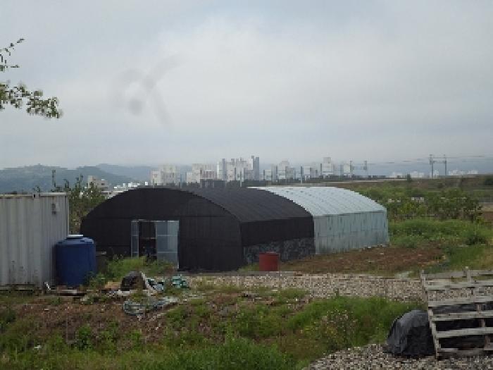 경상남도 밀양시 용평동 632 답 경매 사진 8