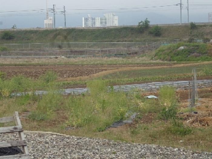 경상남도 밀양시 용평동 632 답 경매 사진 9