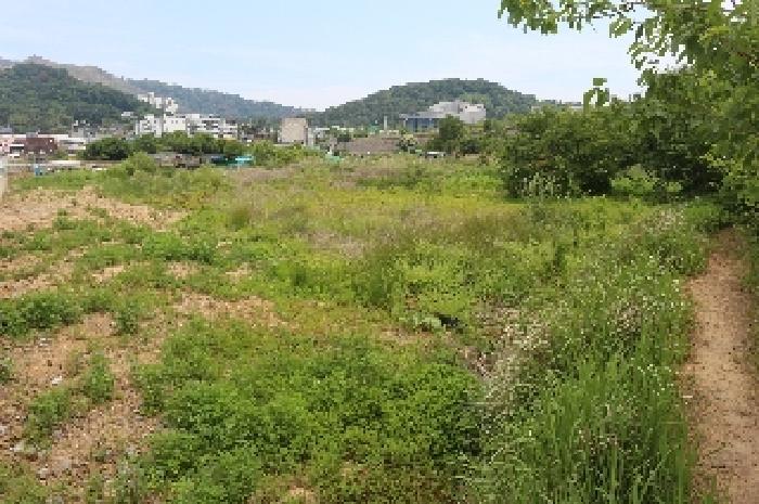 경상남도 밀양시 교동 926-3 답 경매 사진 3