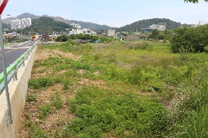 경상남도 밀양시 교동 926-3 답 경매 사진 5