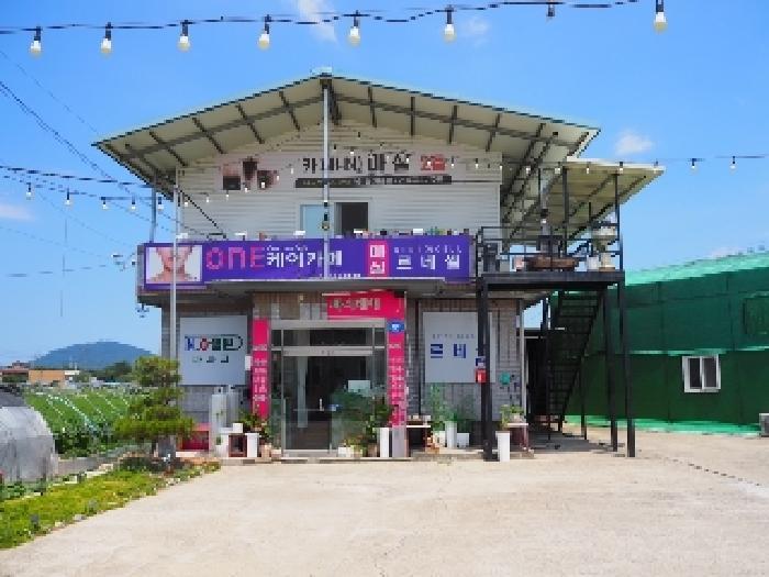경상남도 창녕군 성산면 대견리 146-36 상가 경매 사진 13
