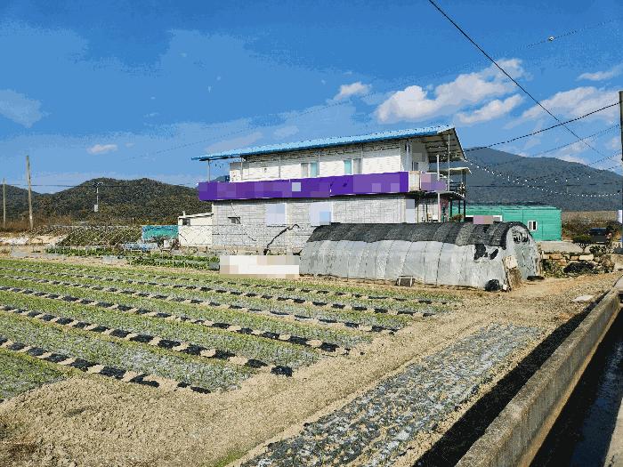 경상남도 창녕군 성산면 대견리 146-36 상가 경매 사진 7