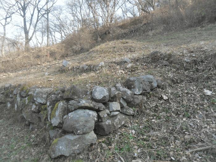 경상남도 밀양시 무안면 정곡리 산91-2 임야 경매 사진 2