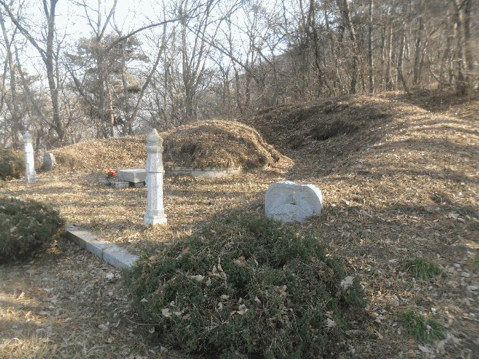 경상남도 밀양시 무안면 정곡리 산91-2 임야 경매 사진 6