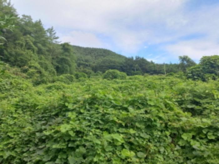 경상남도 남해군 창선면 율도리 700-3 전 경매 사진 11