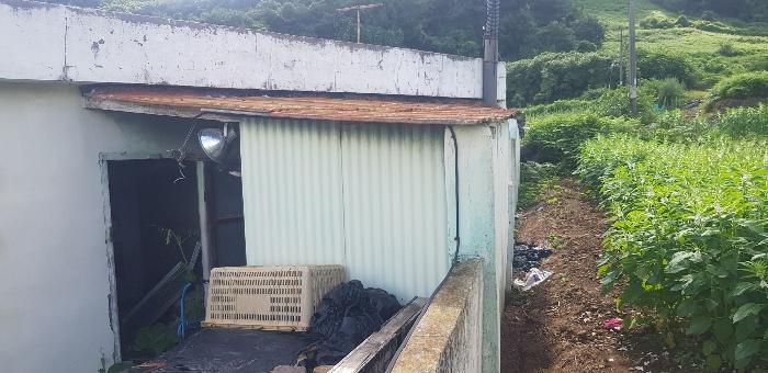 경상남도 남해군 창선면 율도리 722 주택 경매 사진 8