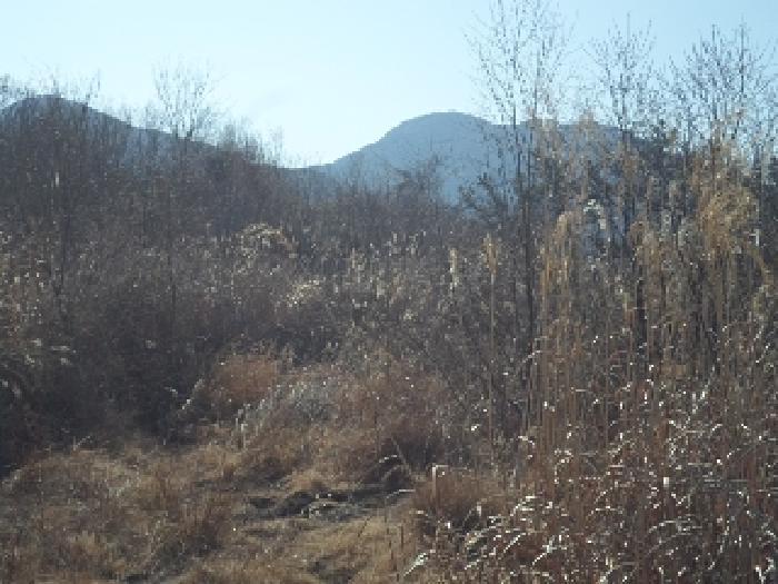 경상남도 밀양시 초동면 봉황리 894-2 전 경매 사진 17