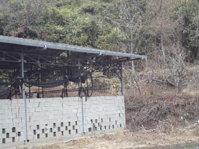경상남도 창녕군 이방면 상리 산30 임야 경매 사진 7