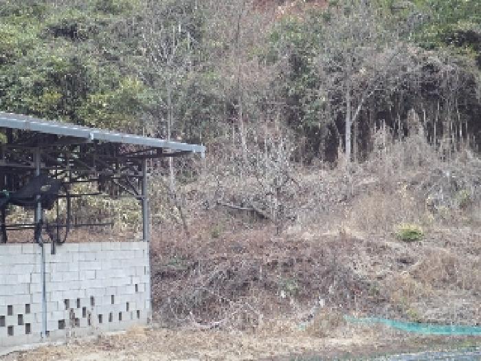 경상남도 창녕군 이방면 상리 89 기타토지 경매 사진 8