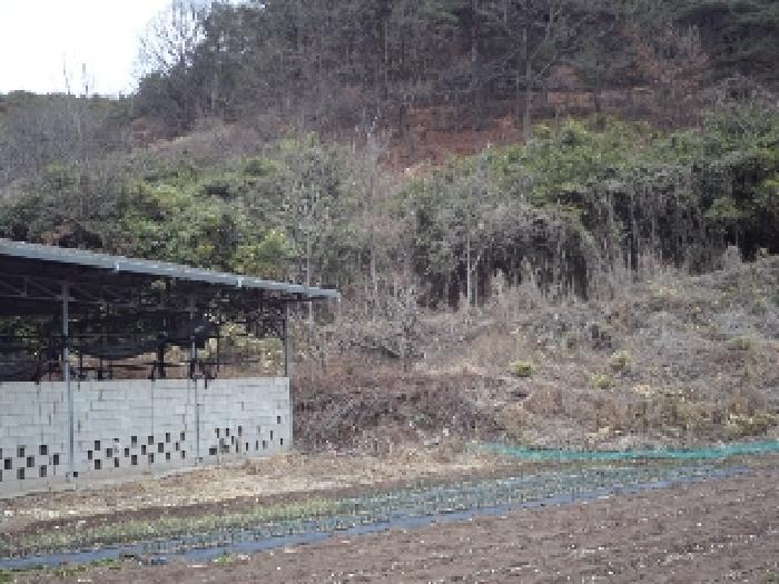 경상남도 창녕군 이방면 상리 89 기타토지 경매 사진 9