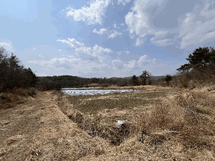 경상남도 창녕군 계성면 계성리 1274 전 경매 사진 3