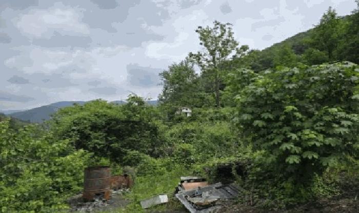 경상남도 밀양시 단장면 국전리 1281 임야 경매 사진 1
