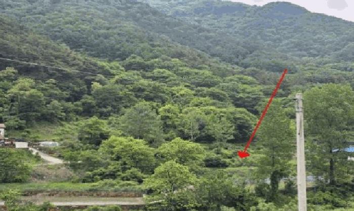 경상남도 밀양시 단장면 국전리 1281 임야 경매 사진 2