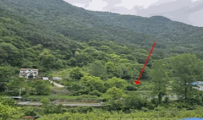 경상남도 밀양시 단장면 국전리 1281 임야 경매 사진 3