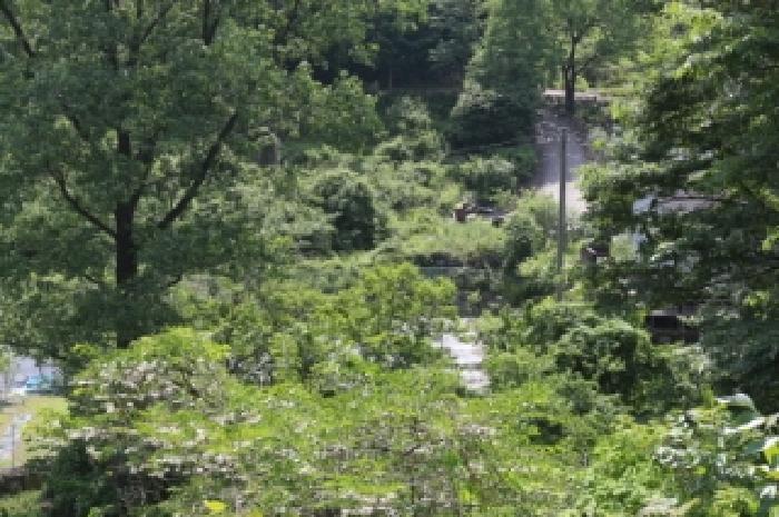 경상남도 밀양시 단장면 국전리 1281 임야 경매 사진 7