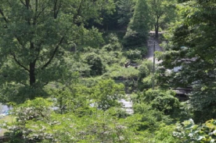 경상남도 밀양시 단장면 국전리 1281 임야 경매 사진 9
