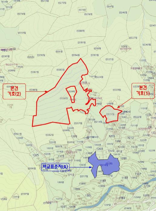 경상남도 밀양시 삼랑진읍 행곡리 산221 임야 경매 사진 14