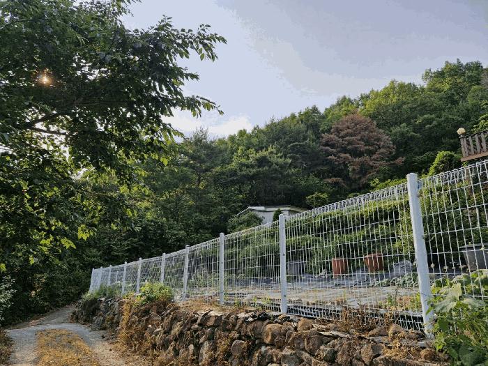 경상남도 밀양시 삼랑진읍 행곡리 산221 임야 경매 사진 8