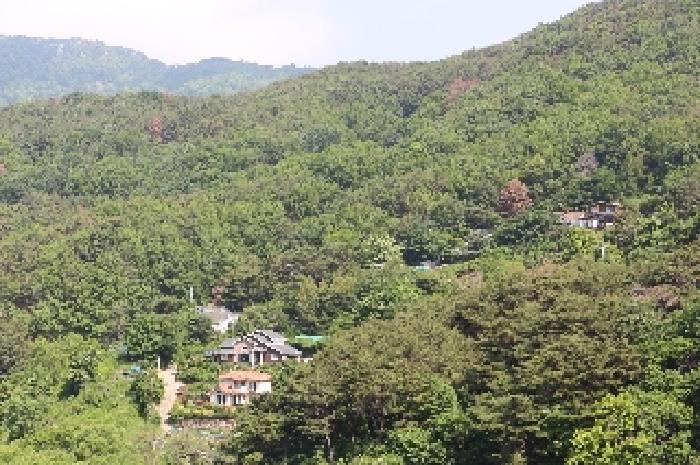 경상남도 밀양시 삼랑진읍 행곡리 산208 임야 경매 사진 9