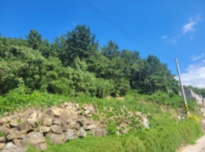 경상남도 남해군 서면 작장리 604 전 경매 사진 11