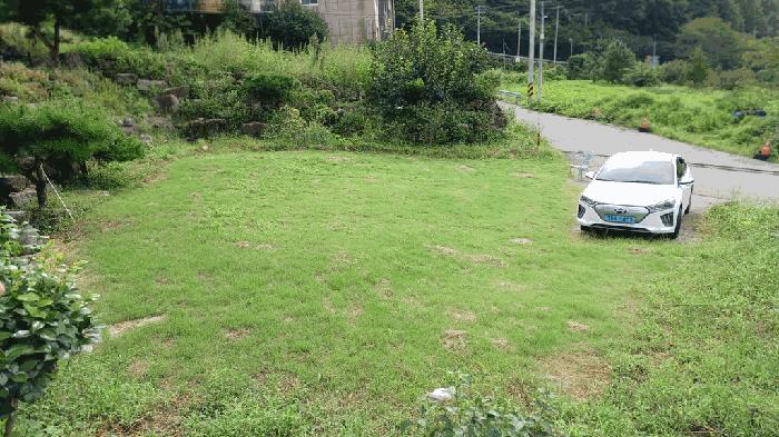 전라남도 광양시 옥룡면 동곡리 650-4 답 경매 사진 11