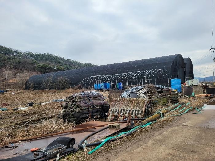 경상남도 창녕군 유어면 선소리 133-4 양어장 경매 사진 24
