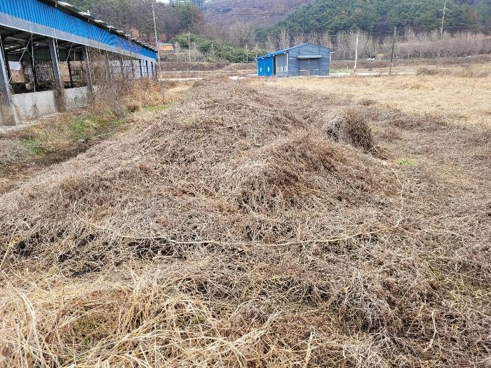 경상남도 창녕군 유어면 선소리 133-4 양어장 경매 사진 75