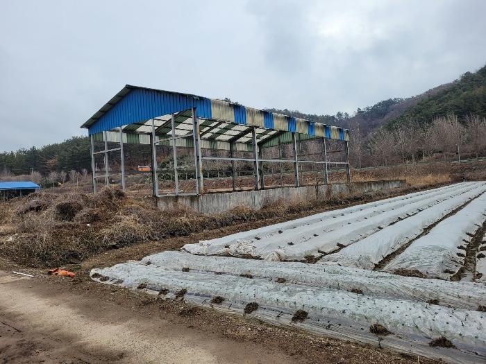 경상남도 창녕군 유어면 선소리 133-4 양어장 경매 사진 78