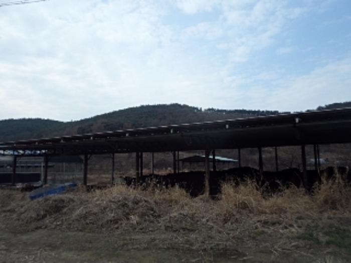 경상남도 창녕군 유어면 선소리 133-4 양어장 경매 사진 81