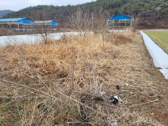 경상남도 창녕군 유어면 선소리 135-3 양어장 경매 사진 28