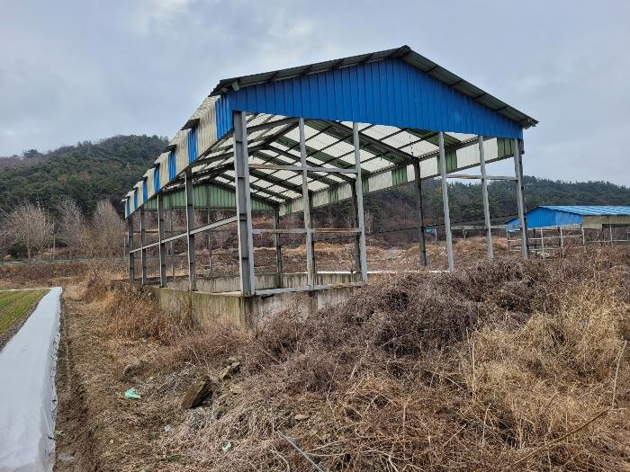 경상남도 창녕군 유어면 선소리 135-3 양어장 경매 사진 29