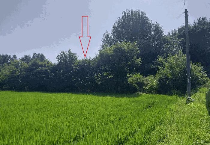 전북 정읍시 전
