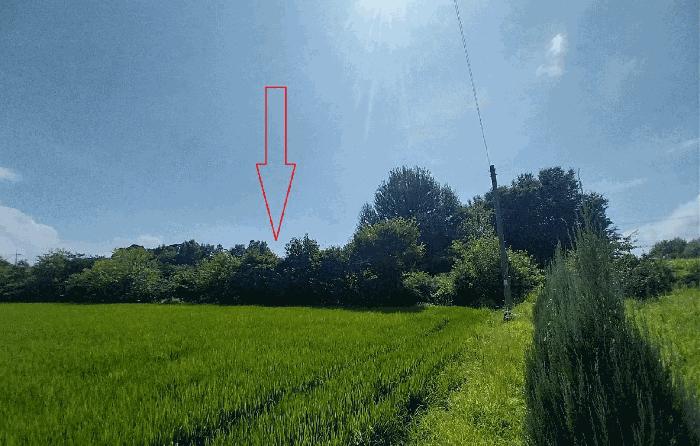 전북특별자치도 정읍시 이평면 두지리 168-1 전 경매 사진 4