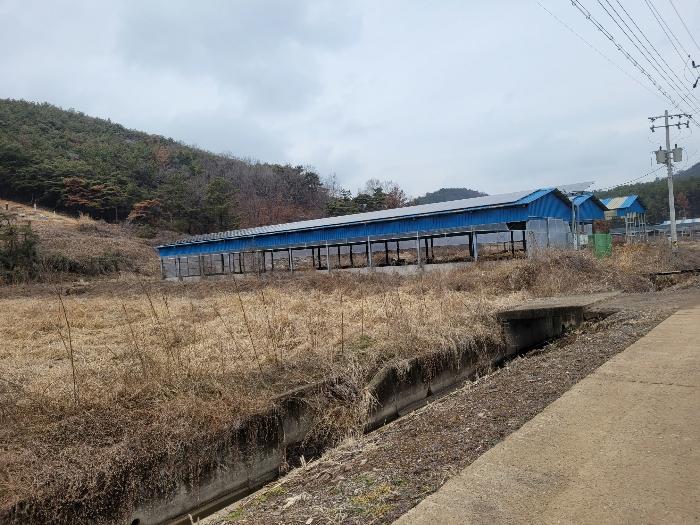 경상남도 창녕군 유어면 선소리 135-9 답 경매 사진 74