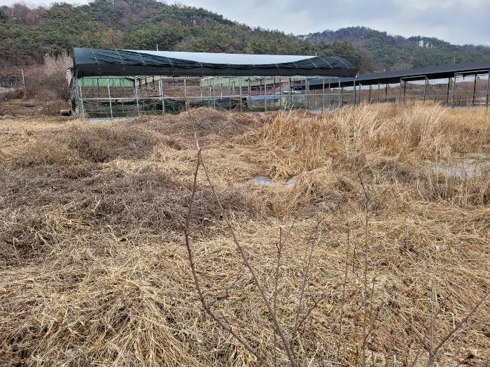 경상남도 창녕군 유어면 선소리 602 전 경매 사진 2