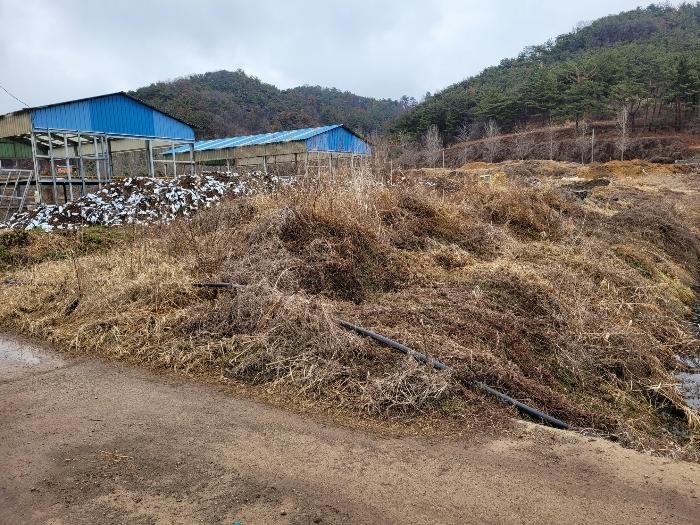경상남도 창녕군 유어면 선소리 602 전 경매 사진 61