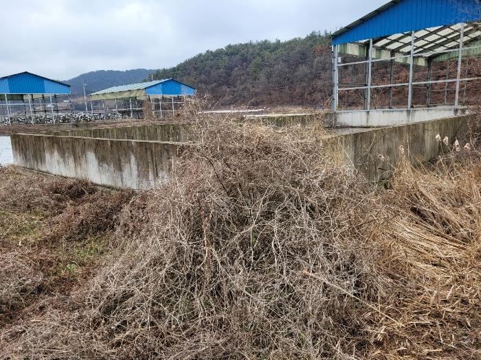 경상남도 창녕군 유어면 선소리 602 전 경매 사진 68