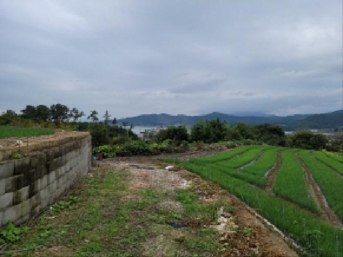 전라남도 보성군 회천면 서당리 384 대지 경매 사진 5