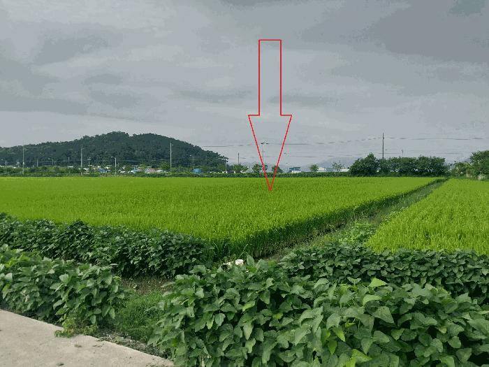 전북특별자치도 부안군 계화면 창북리 4109-6 답 경매 사진 4