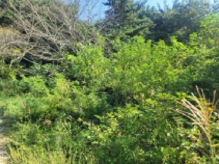경상남도 통영시 용남면 장평리 산36-1 임야 경매 사진 22