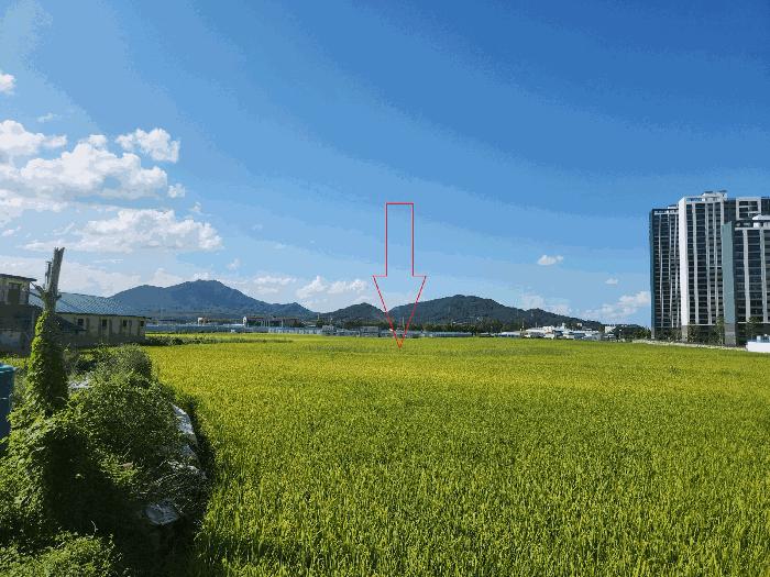 전북특별자치도 정읍시 농소동 49-166 답 경매 사진 1