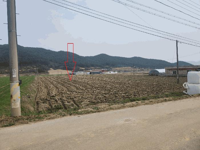 전북특별자치도 부안군 주산면 갈촌리 226-1 전 경매 사진 12